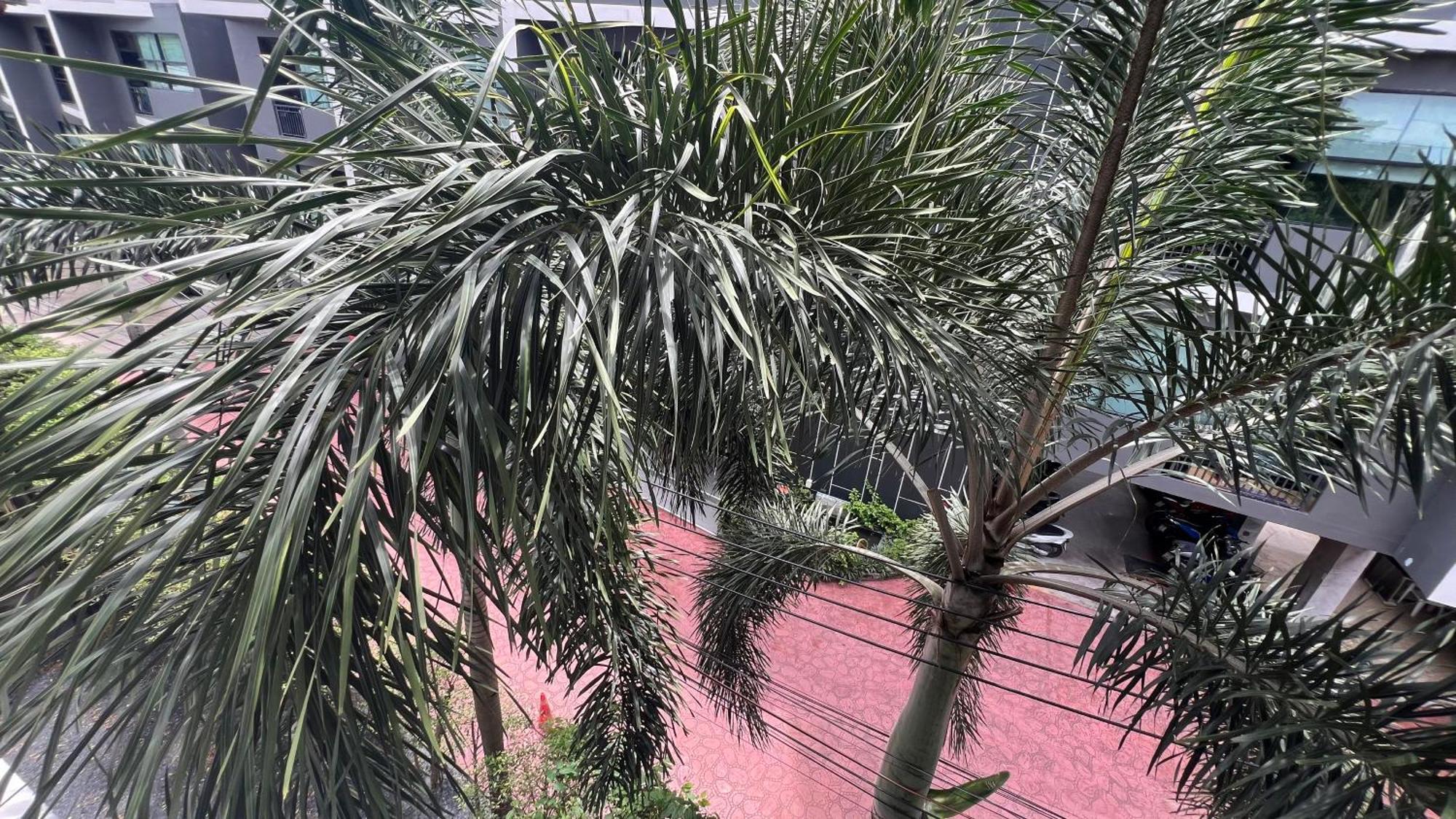 Naiharn Relife By Nataly Apartment Nai Harn Exterior photo